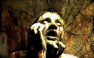 Истории из жизни