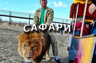 САФАРИ