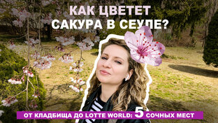 Корея и тревл