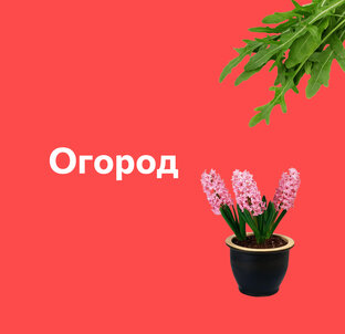 Огород