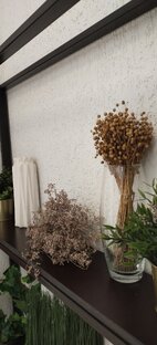 Знаки зодиака - ЗЗ