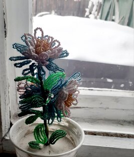 Из берлоги