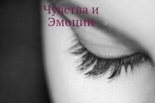 Чувства и эмоции 