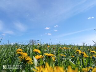 Жизнь деревенская