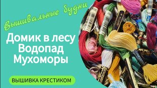 Мои вышивальные будни. Влоги.