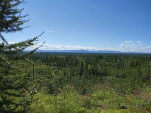 Природа, Походы и Кулинария.