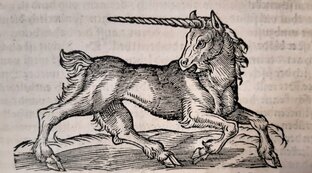 Животные в религиях мира