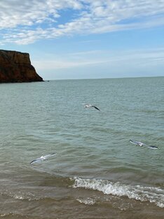 Суета на воде