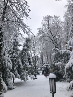 Природа и погода-благодать