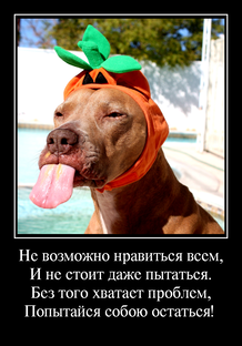 Демотиваторы: 51 - 60