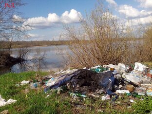 Борьба за чистый берег