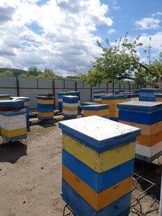 Пчеловодство 🐝 🐝 🐝 