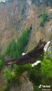 Летайте с ОРЛАМИ