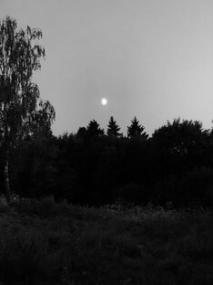 Видеть сквозь иллюзии