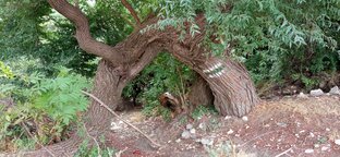 Пешком вокруг Варны