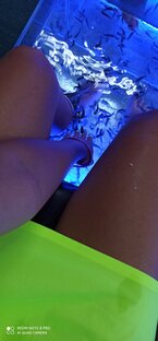 Отдых в Сочи/ Адлер/совхоз России/роза Хутор/ Абхазия