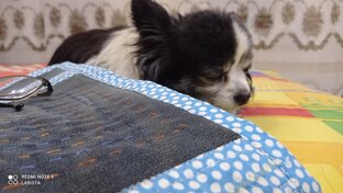 Пэчворк и прикладная вышивка