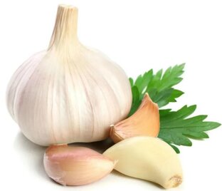 Чеснок