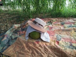 Лето 2022. Едем к морю