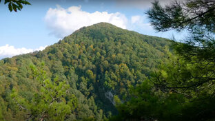 С рюкзачком