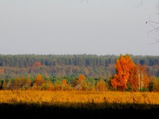 Мистика(  невероятные истории из моих  будней).