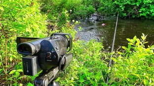 Самые популярные видео