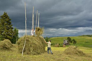 Сенокосная пора. 