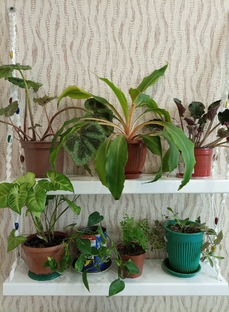 Полки подвесные  для цветов.