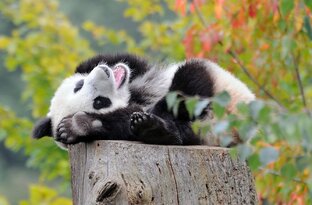 Отдыхаем с пользой