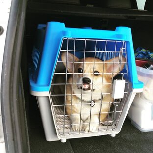 Асти в пути