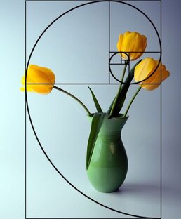 Золотое сечение