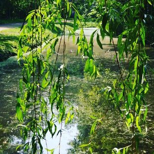 Москва: парки и сады