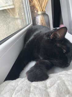 Барринесса