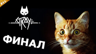 Полное прохождение Stray