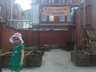 Досуг и развлечения 