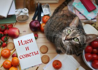 Полезные советы