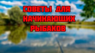 Подготовка к рыбалке для начинающих