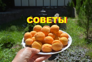 СОВЕТЫ