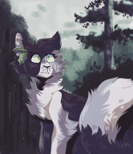 Худшие и лучшие