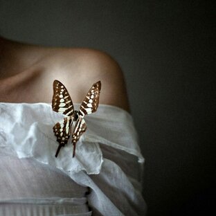 Хозяйка бабочек