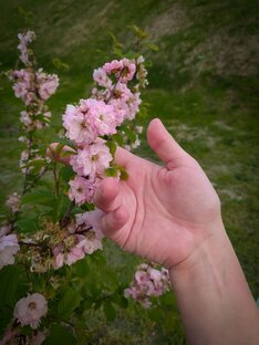 Патриотичная подборка