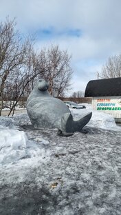 Заполярье 2022