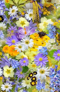 Простые рецепты