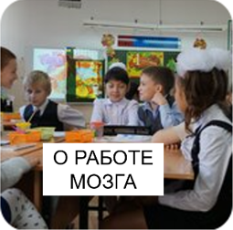 О работе мозга