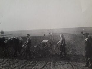 Двадцатые годы 20-ого века