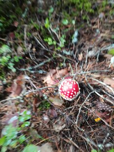 Информация ограниченного восприятия