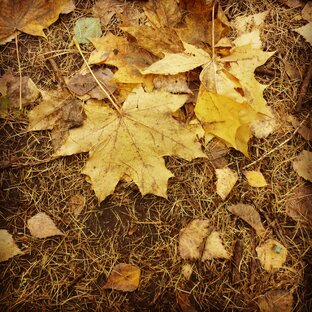 Книги для души! 