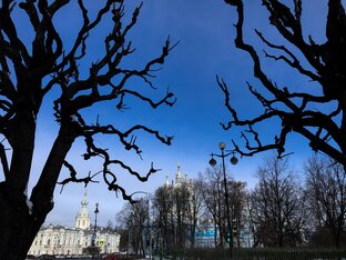 СПб и пригороды