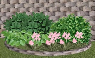 Схемы цветников