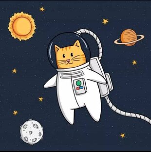 Полезные факты о котиках 